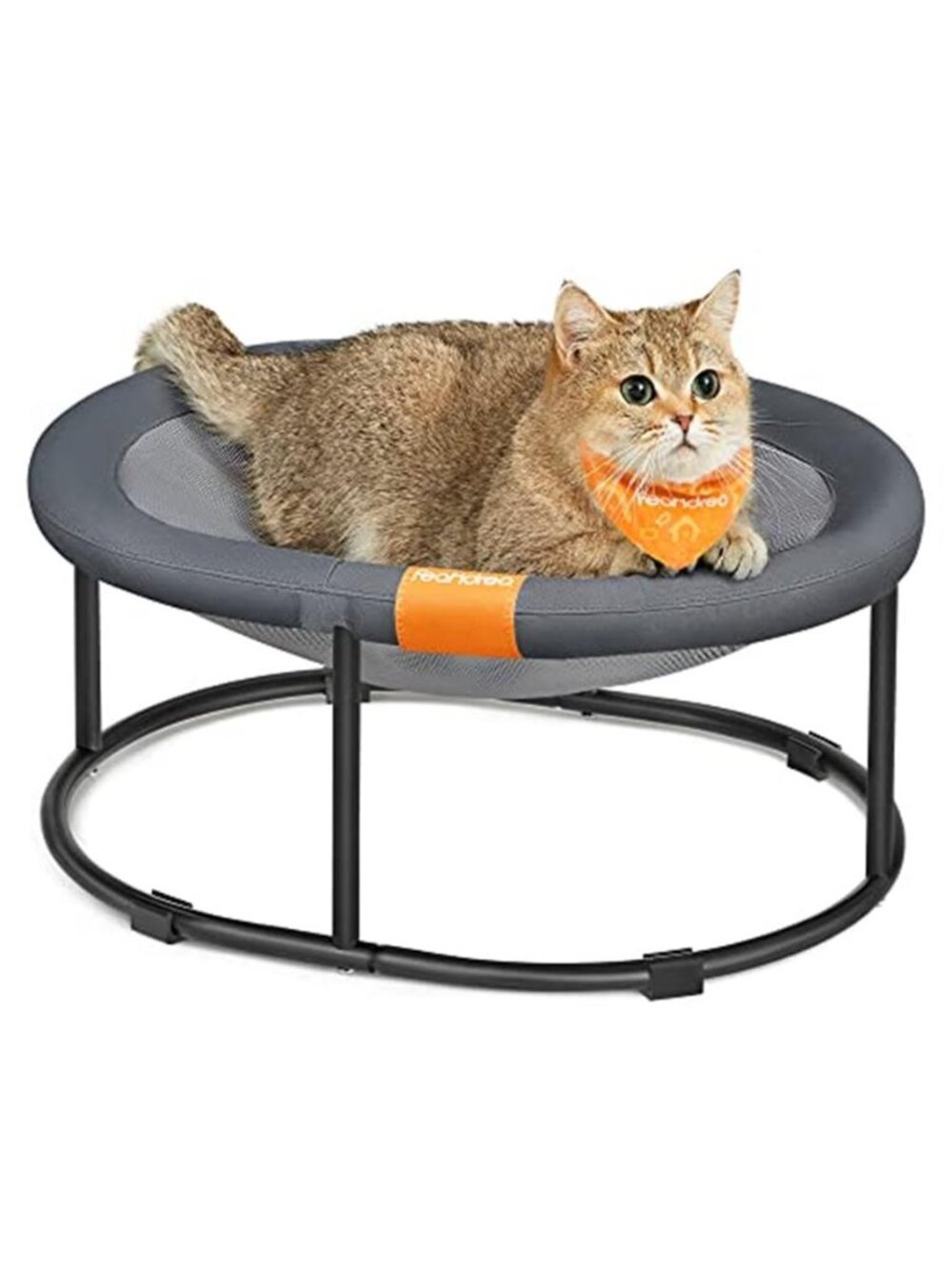 Elevated Cat Bed Hammock Raised Pet Bed Breathable Mesh Washable Indoor Small